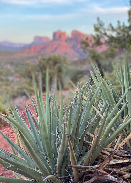 sedona1