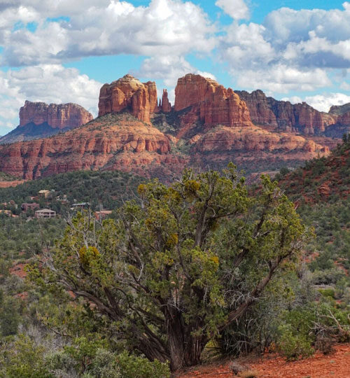 Cathedral Rock in Sedona, AZ.