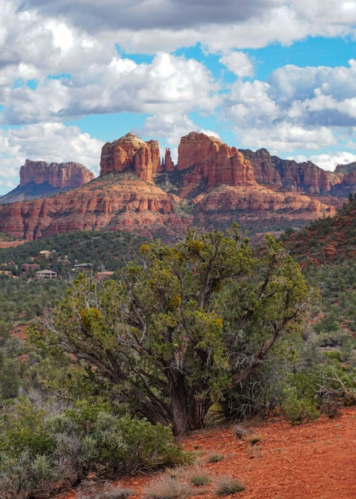 Cathedral Rock in Sedona, AZ.