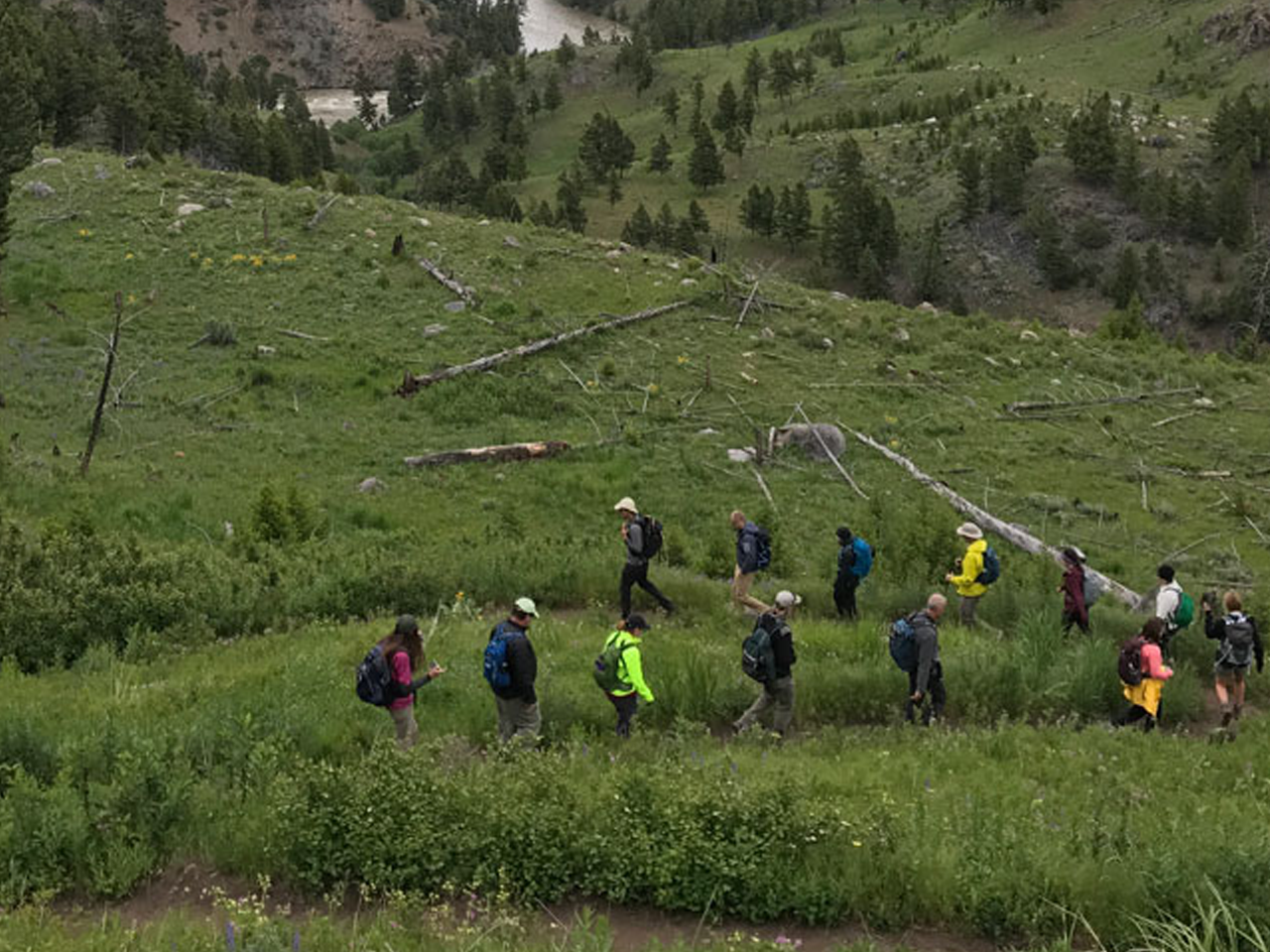 Preparing for your first backpacking trip.